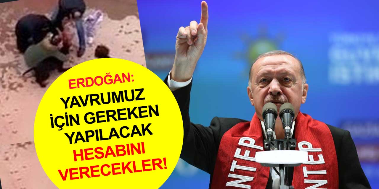Cumhurbaşkanı Erdoğan'dan pitbull saldırısına tepki: Bu köpekler zengin köpeği! Hesabını verecekler