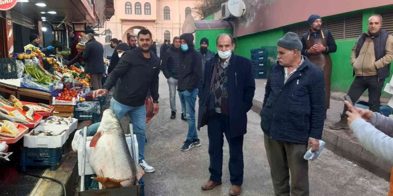 Elazığ'da çarşının şaşkınlığı! 60 kilo ağırlığındaki dev Fırat turnası görenleri hayrete düşürdü