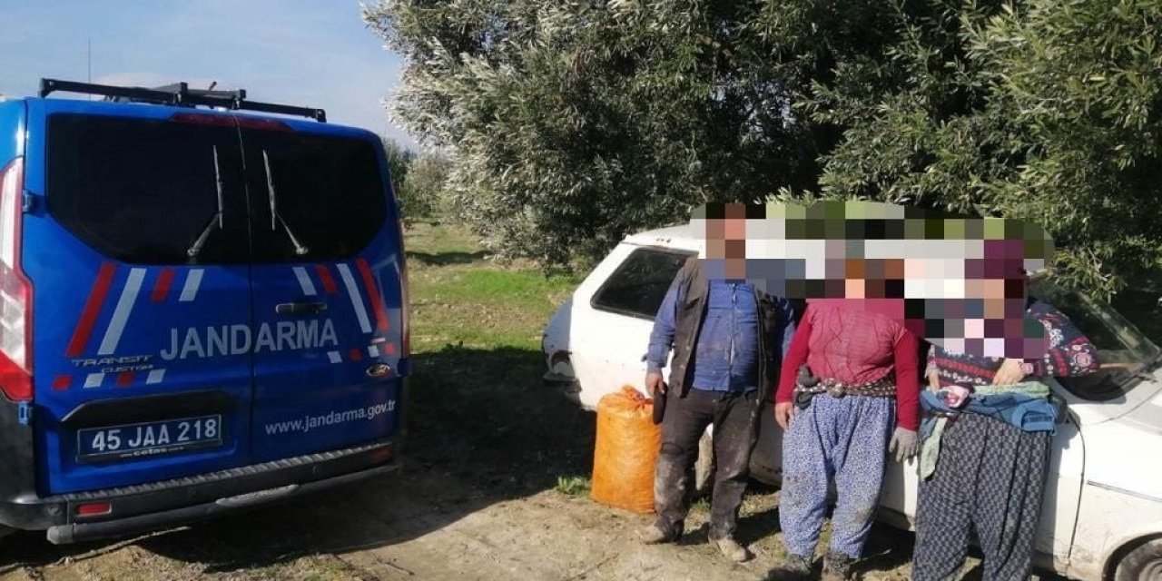 Hırsızlıktan aranıyorlardı! Akhisar'da zeytin çalarken yakalandılar