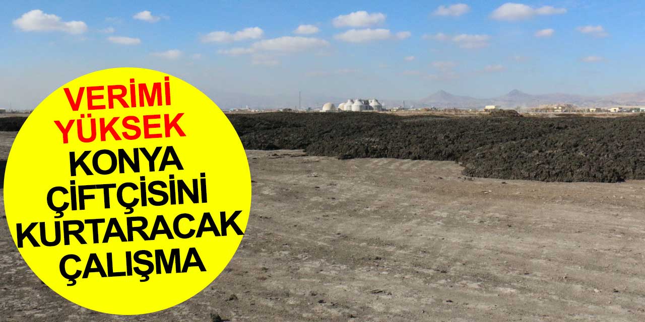 Konya'da çiftçinin yüzü güldü: Büyükşehir Belediyesi'nin verimli gübresi işe yaradı