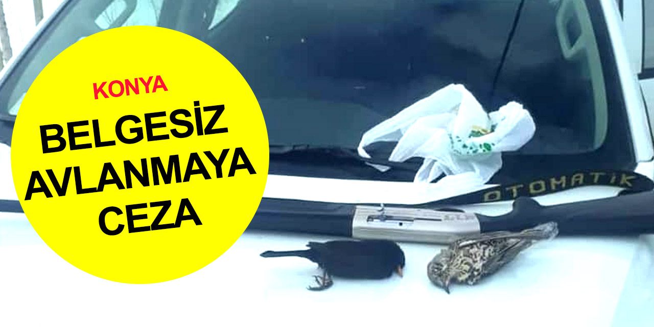 Konya'da belgesiz avlanan 8 kişiye ceza