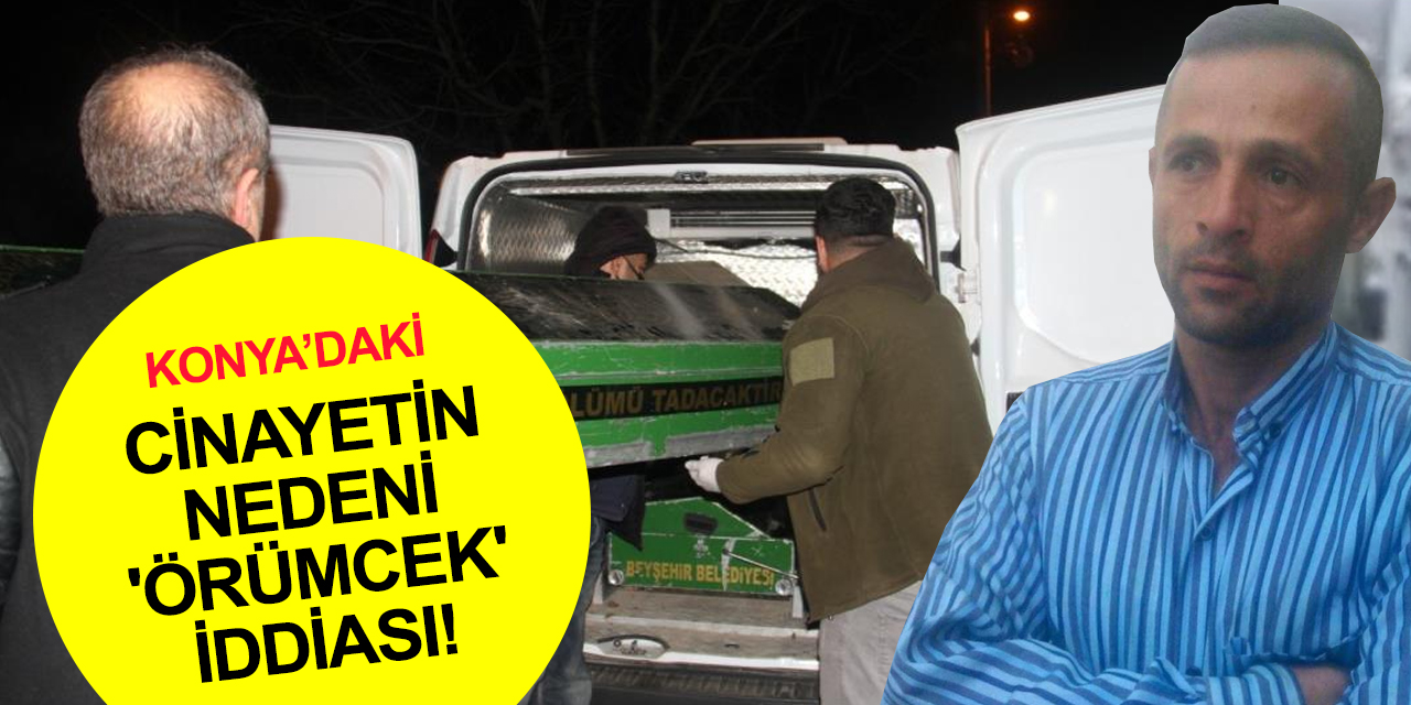 Konya'daki koca cinayetinde yeni detaylar! Örümcek görüp sıraya dizmiş