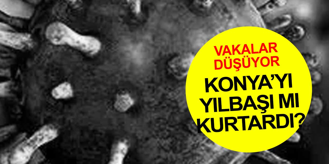 Türkiye'de artan Konya'da düşen Covid-19 vakalarının nedeni ne? Yılbaşı etkinlikleri bunda etkili mi?