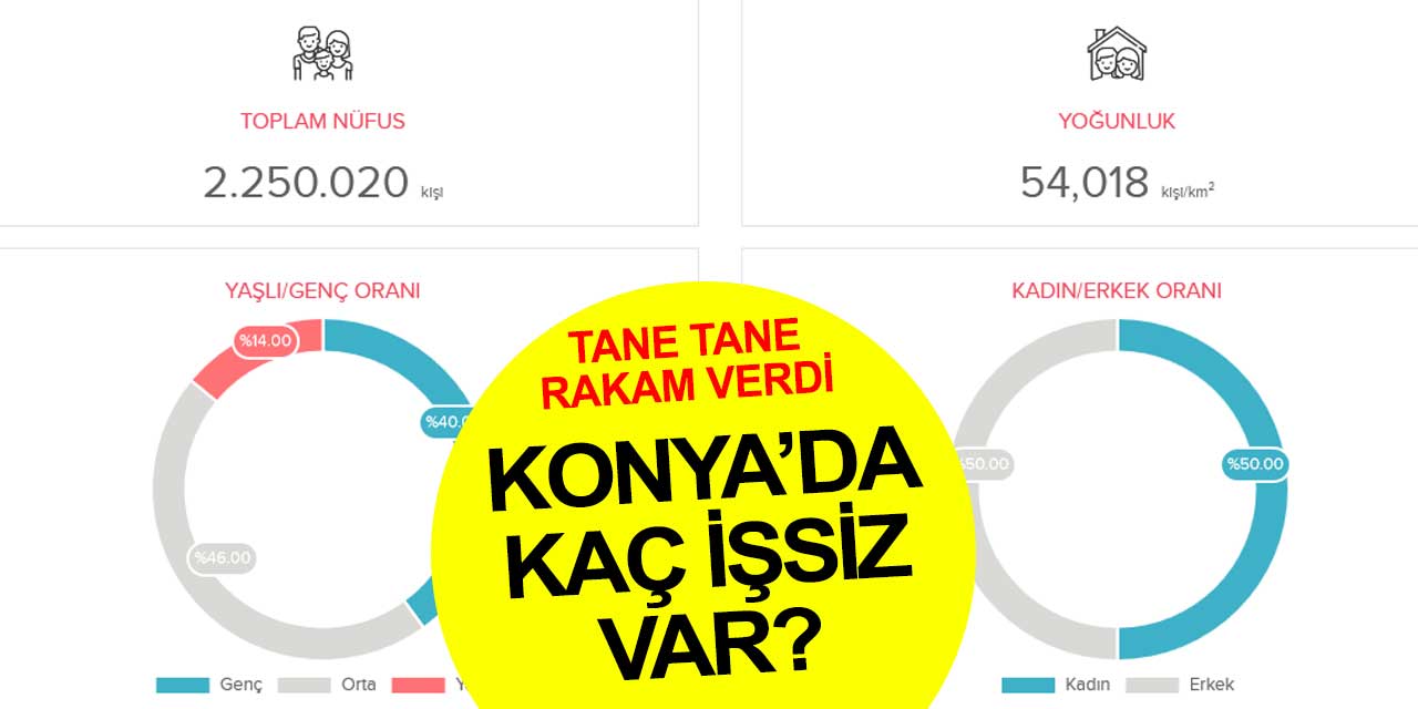 Konya'da kaç işsiz var?
