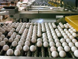 Türk yumurtası İsrail’i karıştırdı