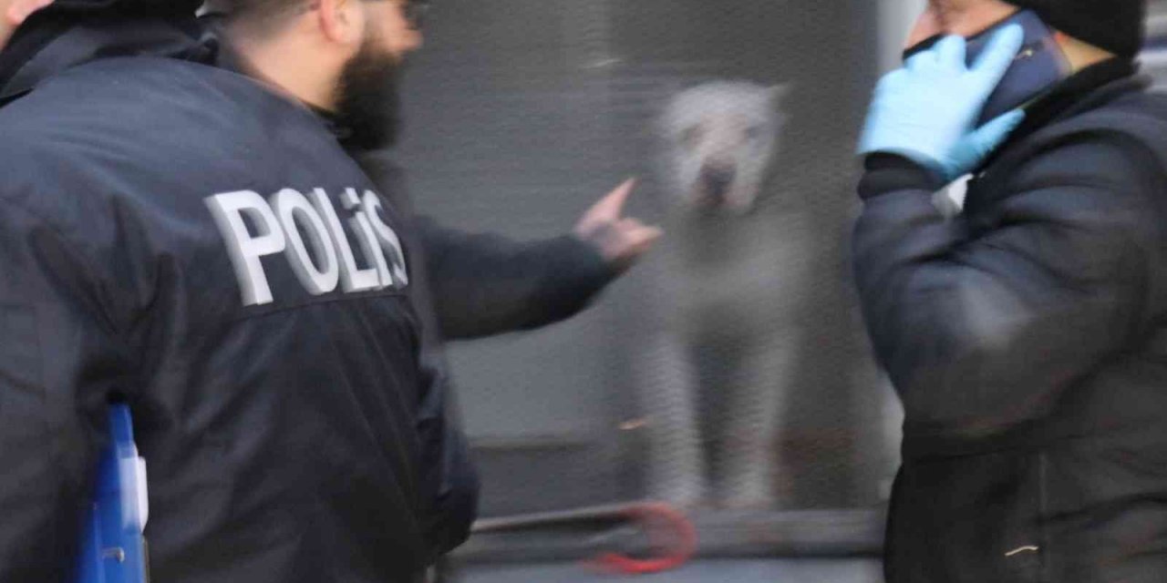 'Yan baktın' kavgası kanlı bitti! Önce darp ettiler sonra üzerine pitbull saldılar: 3 yaralı