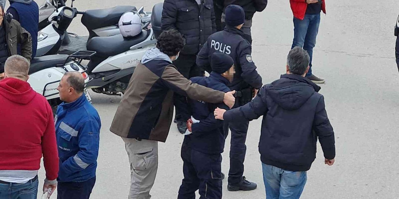 Bursa'da köpek kavgasında kan aktı