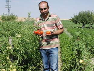 Beyşehir'de Ekim ayı yağışları çiftçinin yüzünü güldürdü
