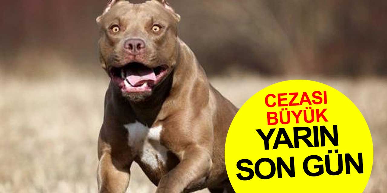 Konya ve Türkiye'de yarın son gün!