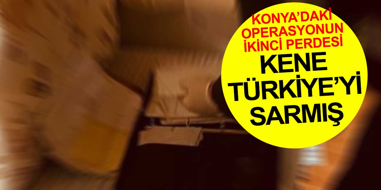 Türkiye'de kene şoku! 500 bin lirayı 5 milyon yapmışlar! Aralık ayında Konya'da da operasyon yapılmıştı