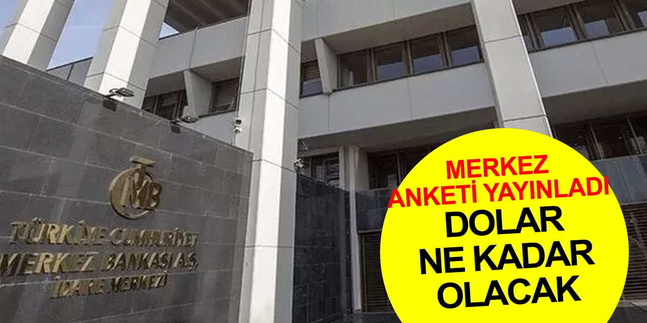 Yılsonunda dolar ne kadar olacak? Merkez Bankası anketi yayınladı