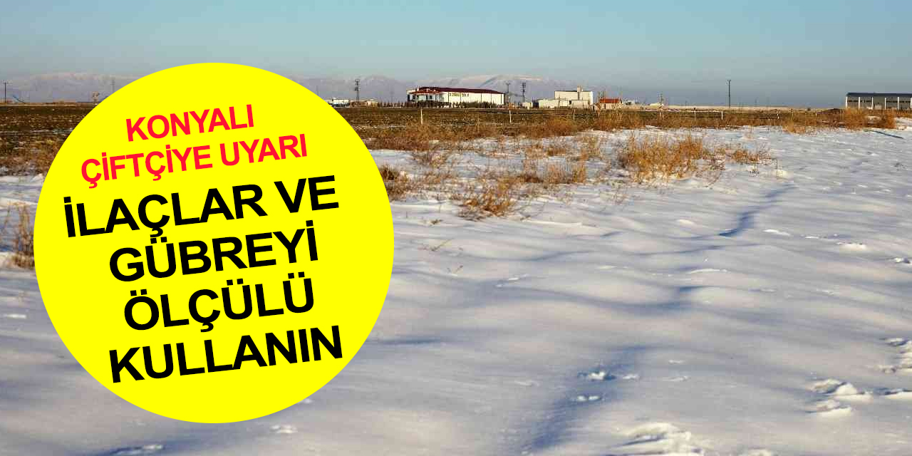 Tarlalar suya doydu! Konya'da yüzde 60 rekolte artışı bekleniyor