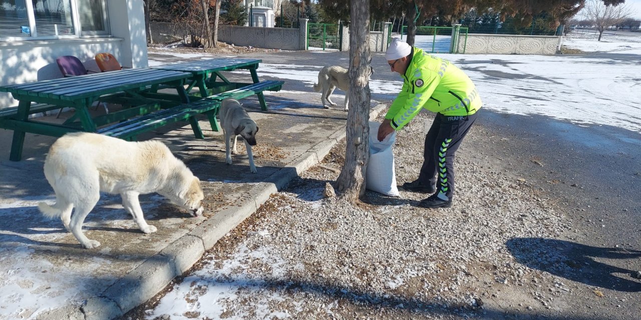 Buz kesen Konya'da polisler sokak hayvanlarını elleriyle besledi