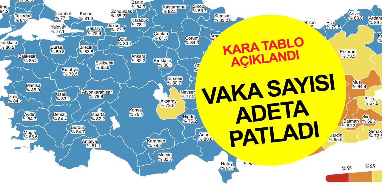 Türkiye'nin 25 Ocak 2022 tarihli son korona tablosu açıklandı