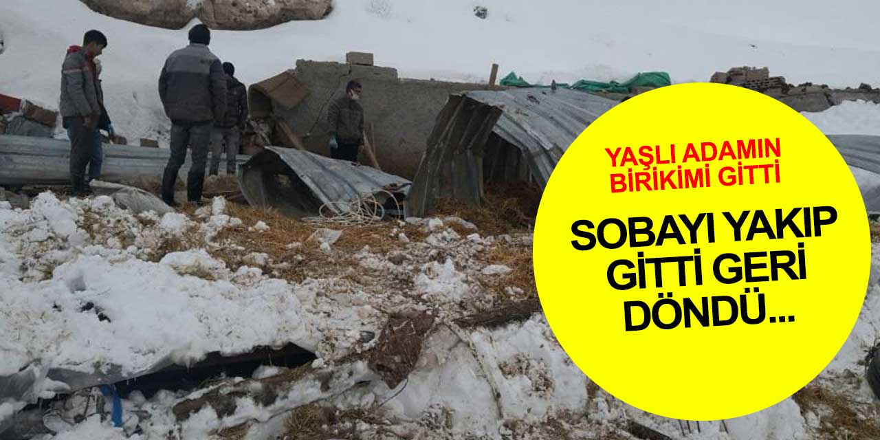 Ağılın sobasını yakıp gitti geri döndüğünde manzara korkunçtu