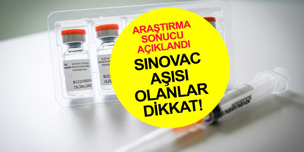 Sinovac'la ilgili ilginç araştırma sonucu