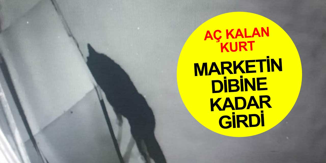Dehşet veren görüntü! İyi ki kimse yoktu