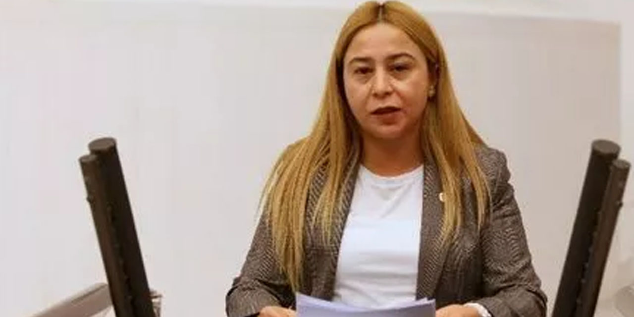 Konya Milletvekili Kara'dan Bakan Pakdemirli'ye çiftçi kredileri sorusu