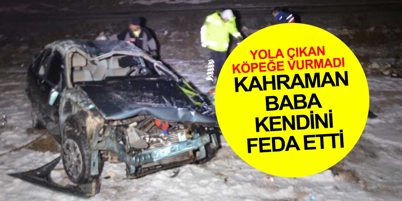 Yola çıkan köpeğe vurmak istemeyen baba devrilen arabada can verdi