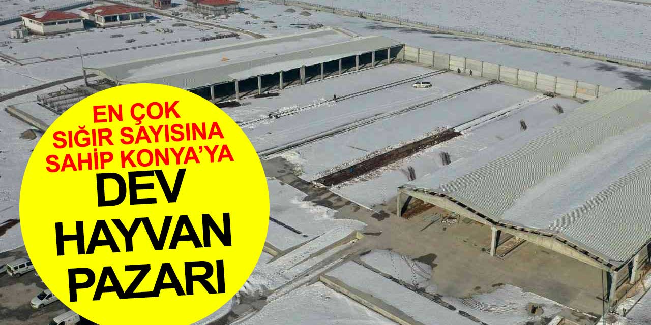 Türkiye'nin en çok sığır sayısına sahip olan Konya'ya dev hayvan pazarı