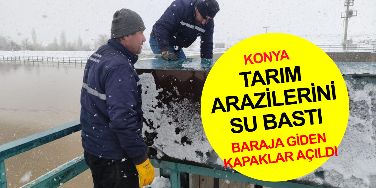 Metrelerce kar eridi! Konya'da yerleşim yerleri ve tarım arazilerini su bastı