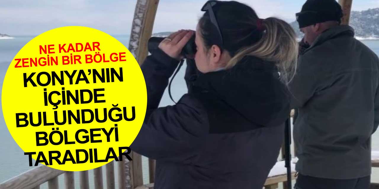 Konya'yı içine alan Göller Yöresi'nde 45 türden 298 bin 445 kuş tespit edildi