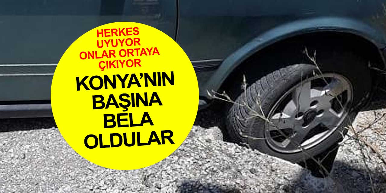 Konya'da herkes uyurken onlar ortaya çıkıyor! Binlerce liralık zarar
