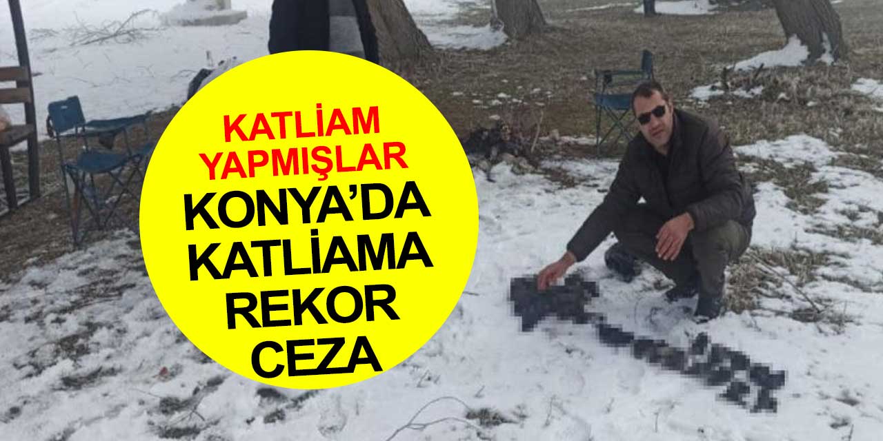 Konya'da katliam yapan kaçak avcılara ceza yağdı
