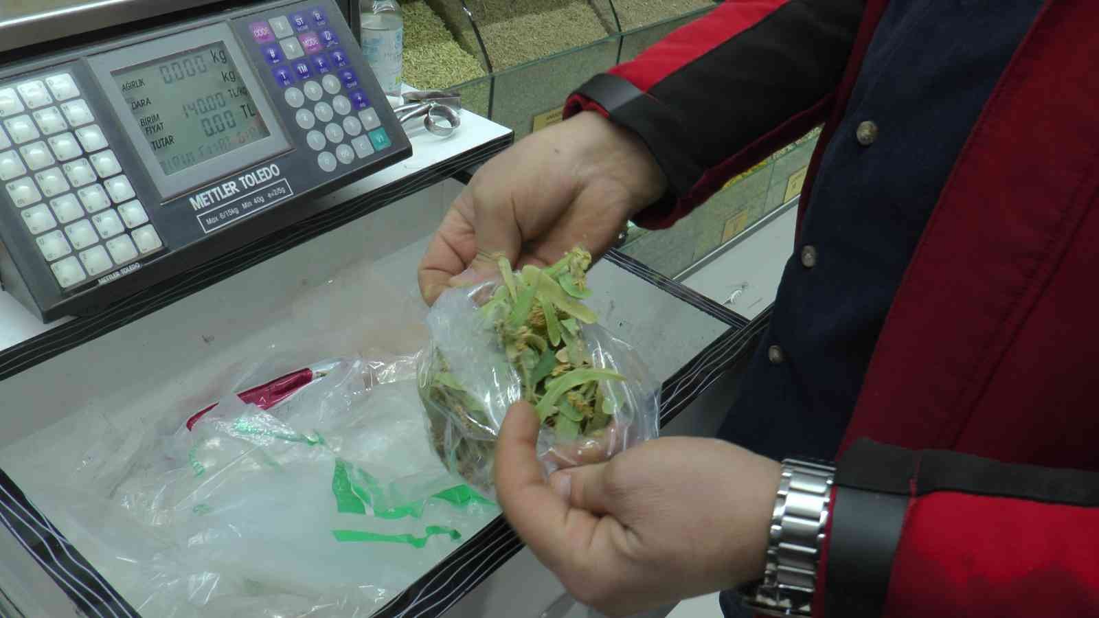 1 kilo ıhlamur 350 lira oldu