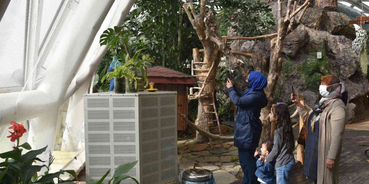 Konya Tropikal Kelebek Bahçesi yeniden ziyarete açıldı