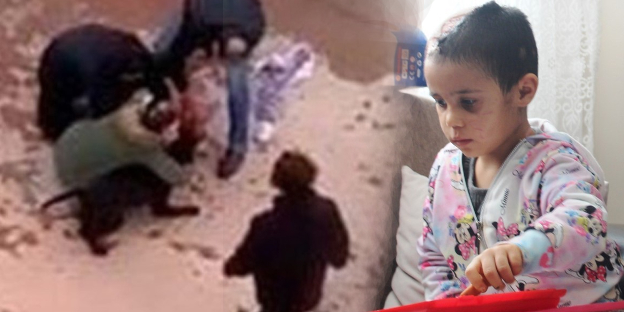 Asiye’ye pitbull saldırısı davasında tahliye edilen 4 zanlı hakkında yeni karar