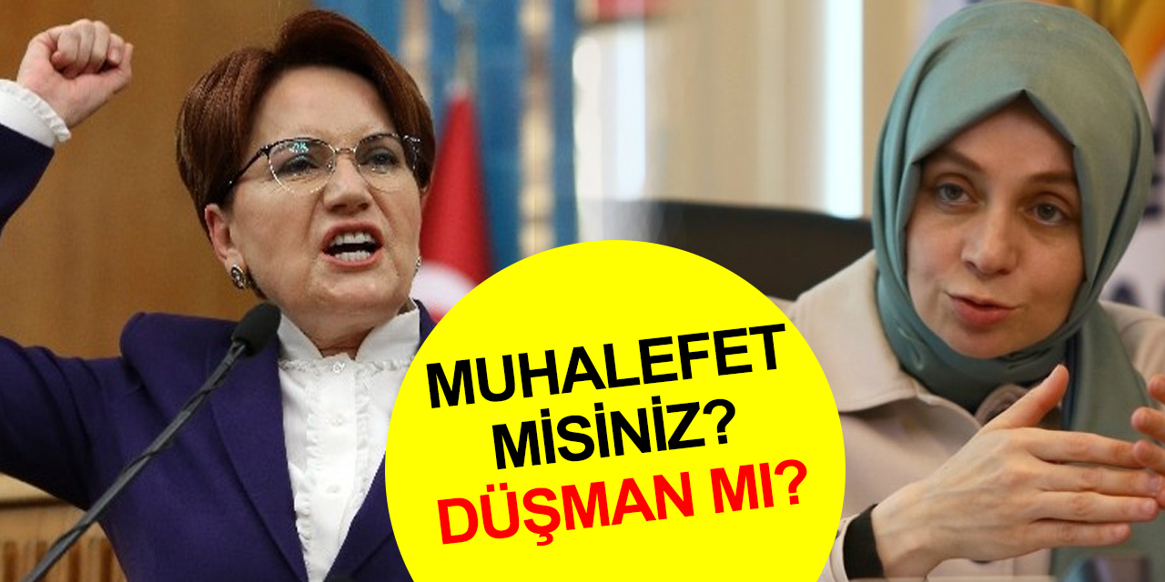 Konya Milletvekili Usta’dan Akşener’e tepki: Sorsanız onlardan milliyetçisi yok!