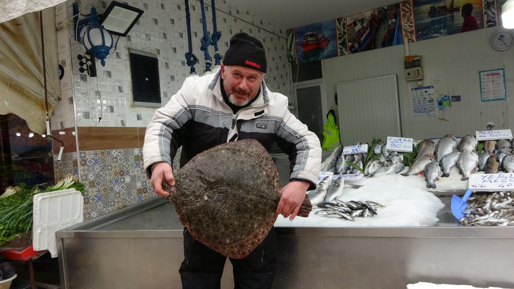 Karadeniz'de yakalanan 5 kiloluk kalkan balığına 3 bin lira verdi