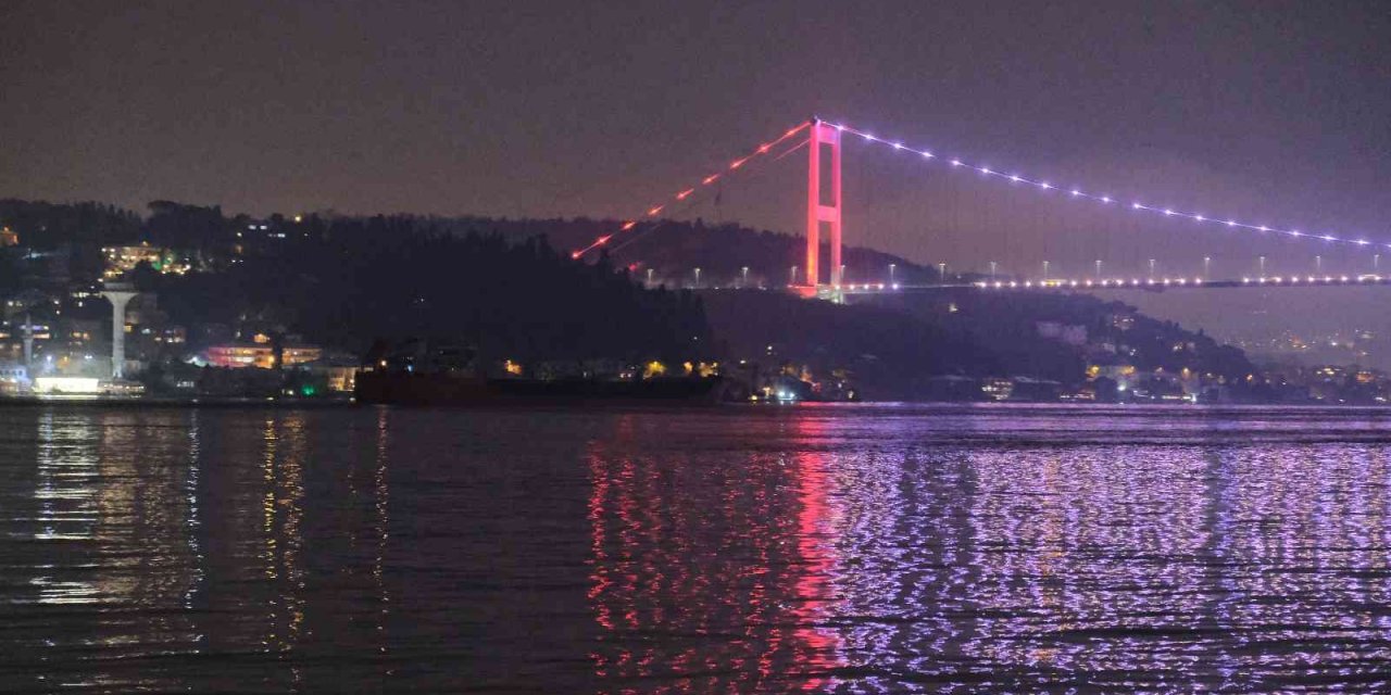 Rusya’dan yola çıkan gemi 5 bin 753 ton ayçiçek yağıyla birlikte İstanbul Boğazı'nı geçti