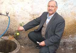 Betonda büyüyen kavun