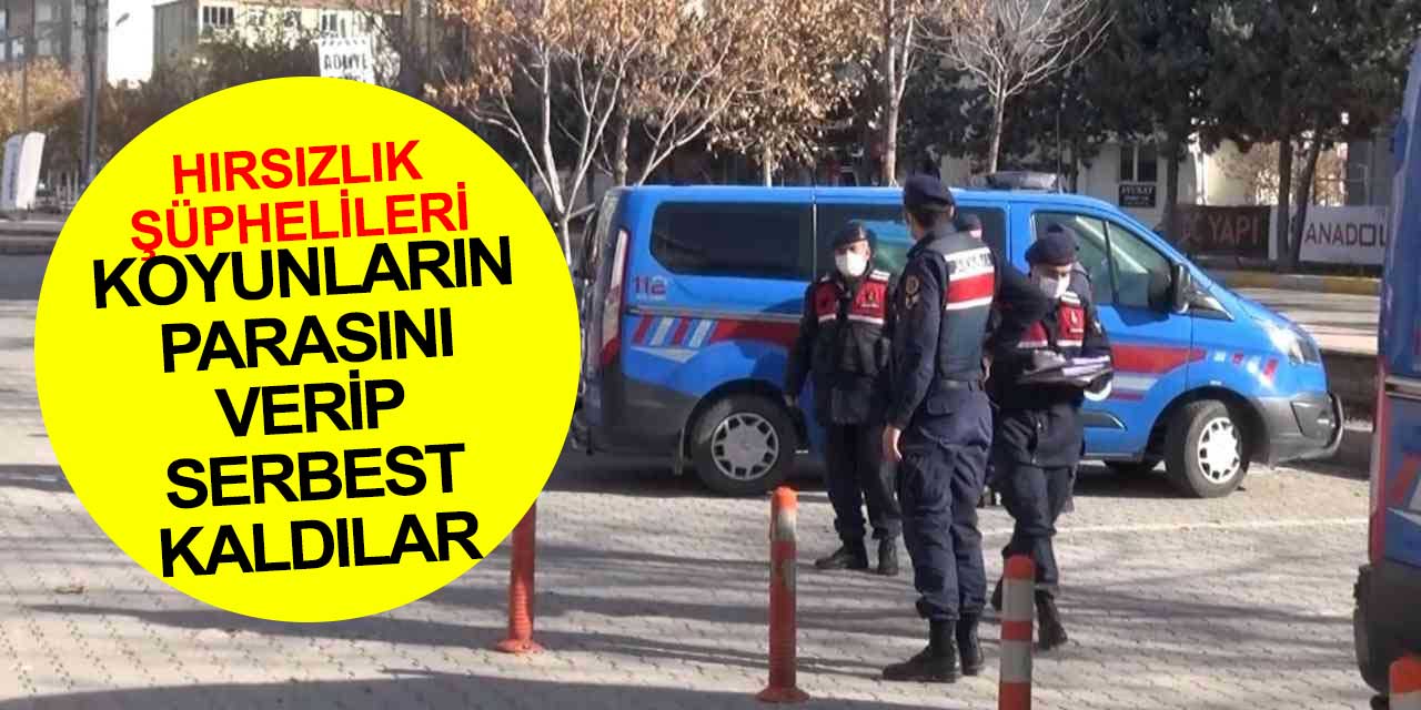 Aksaray'da hırsızları kurtaran para! Çaldıkları koyunların parasını verdiler, serbest kaldılar