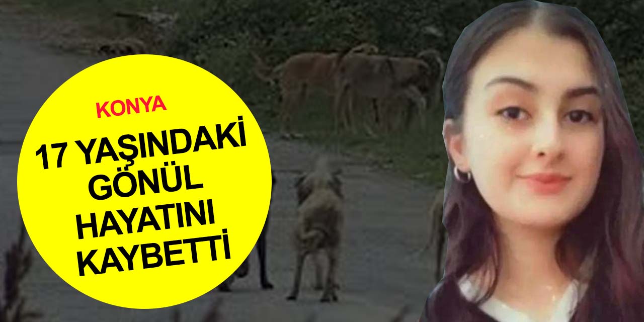 Başıboş köpek dehşeti Konya'da! 17 yaşındaki Gönül hayatını kaybetti