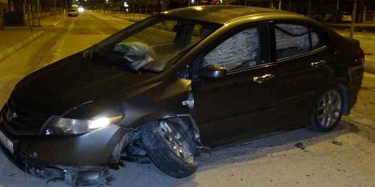 Önüne atlayan sokak köpeğine çarpmamak için ani manevra yaptı! Aracı hurdaya döndü