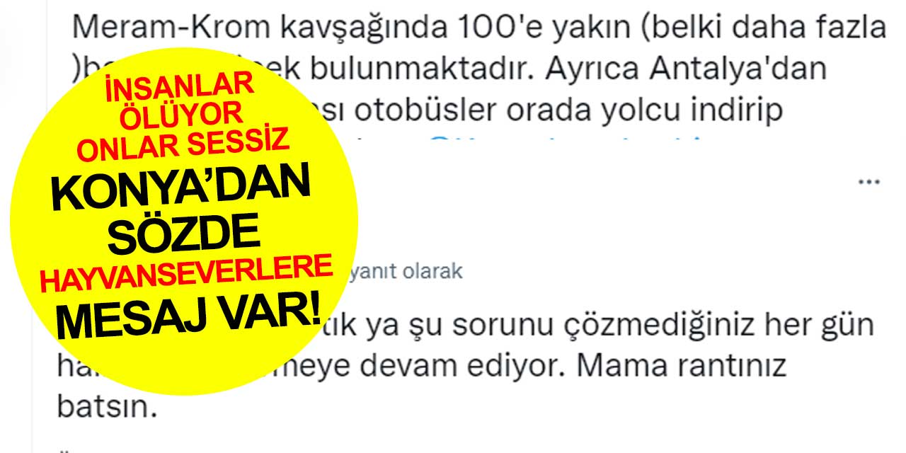 Konya’da tepkiler çığ gibi! Sözde hayvanseverler hedefte!