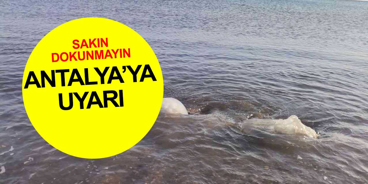 Antalya'ya uyarı! Rüzgar ters esti kıyıya vurdular, sakın dokunmayın