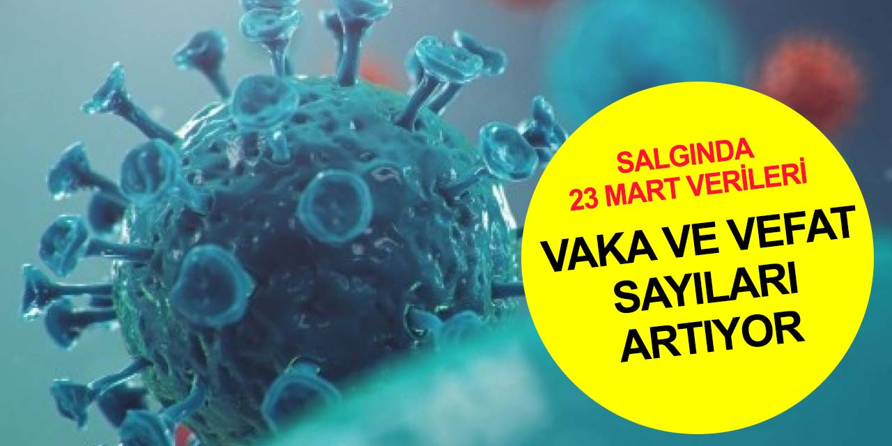 Salgında son durum! Vefat sayısı artışa geçti