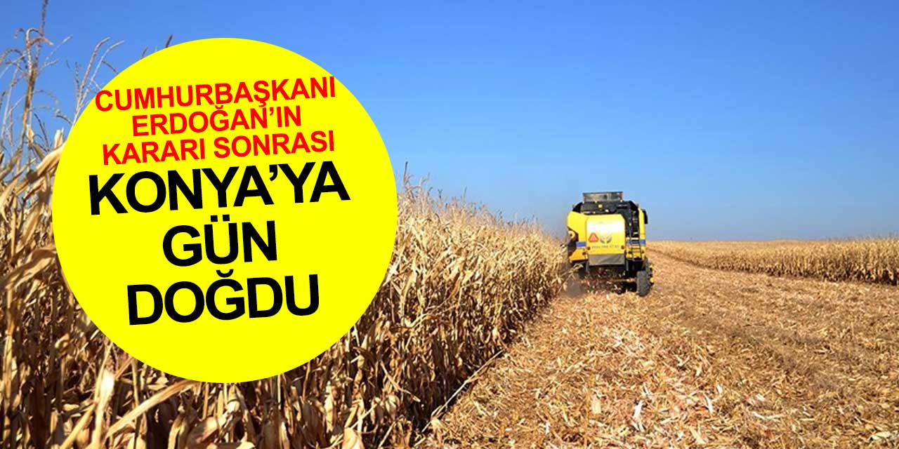 Bol yağış alan Konya'ya gün doğdu! Cumhurbaşkanı Erdoğan'ın talimatı ovaya can suyu katacak