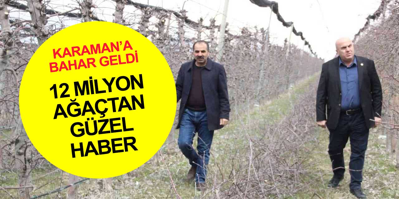 Karaman'da 12 milyon ağaçtan güzel haber