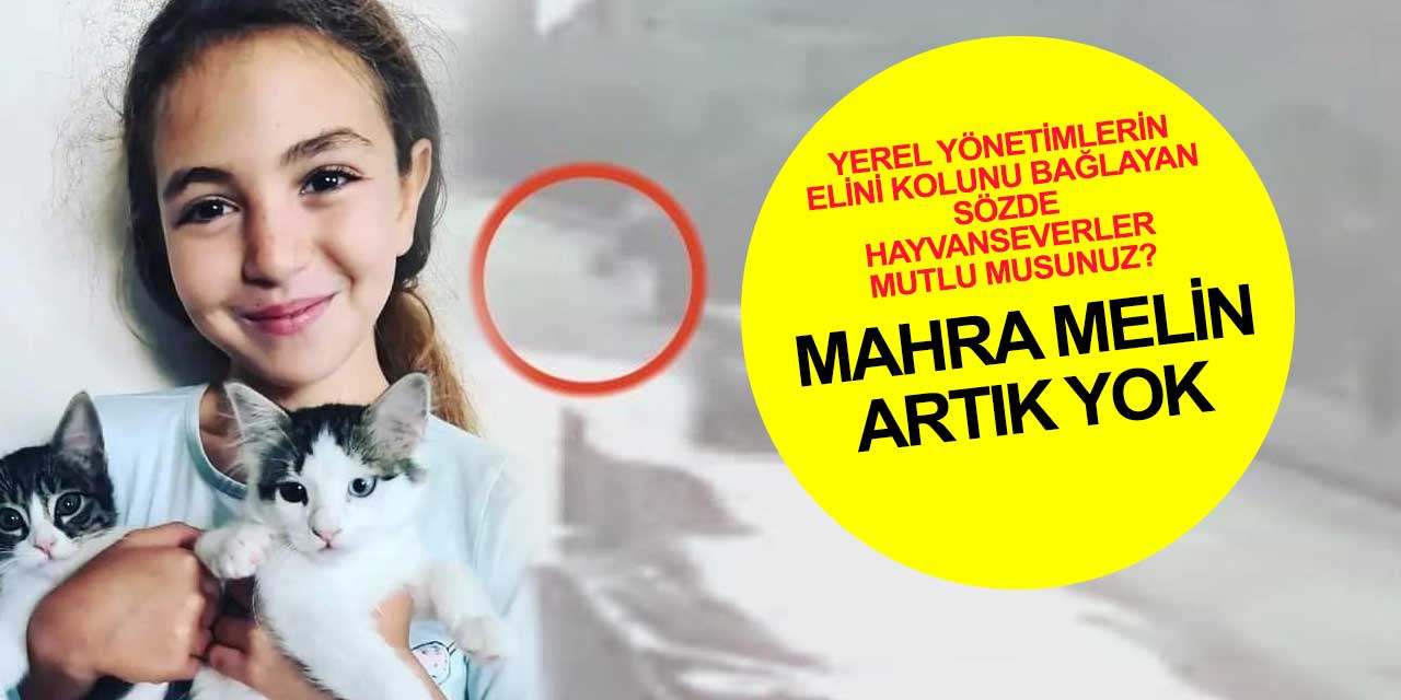 Hayvanseverler mutlu musunuz? Mahra Melin Pınar 23 günlük yaşam savaşını kaybetti