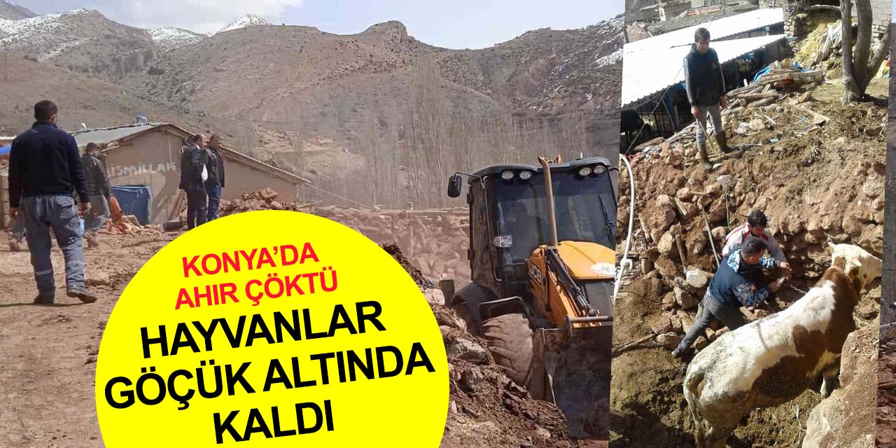 Konya'da aşırı yağış nedeniyle ahır çöktü! Göçük altındaki hayvanlar için zamanla yarışıldı