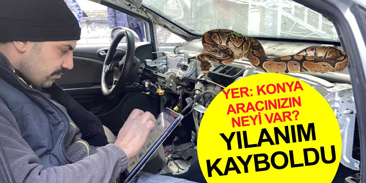 Arabanın içinde kaybolan yılanı Konya'da elektrik ustası çıkardı