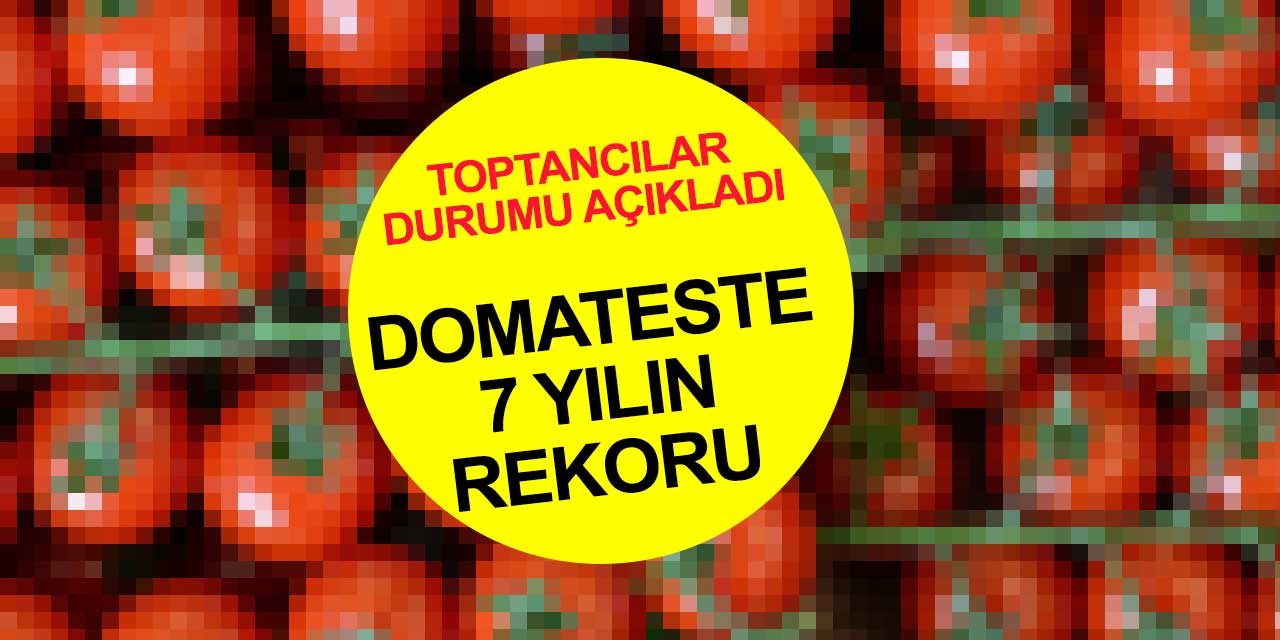 Domatesin fiyatı 7 yılın rekorunu kırdı! Antalya'dan meyve ve sebze endeksi açıklaması geldi