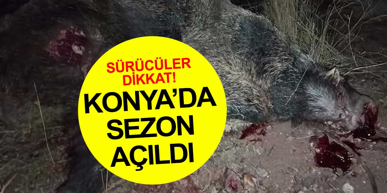 Sürücüler dikkat! Konya'da sezon açıldı!