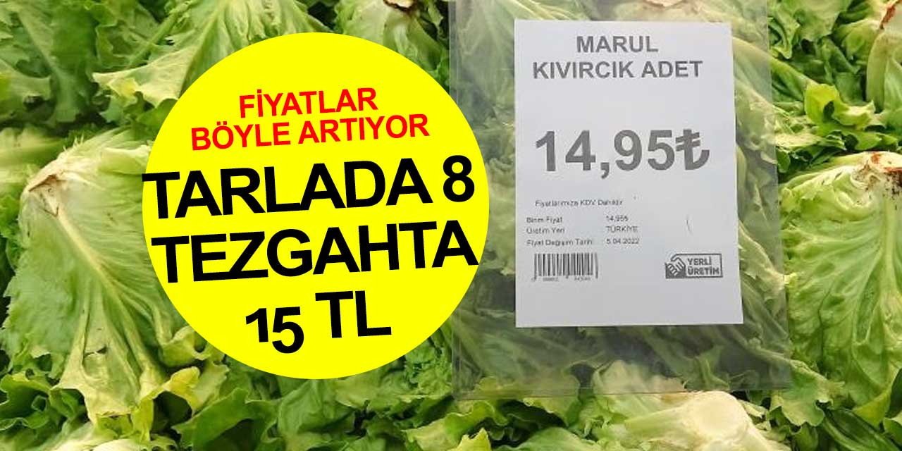 Artan sebze fiyatlarının sebebi ne? Marul tarlada 8 tezgahta 15 TL