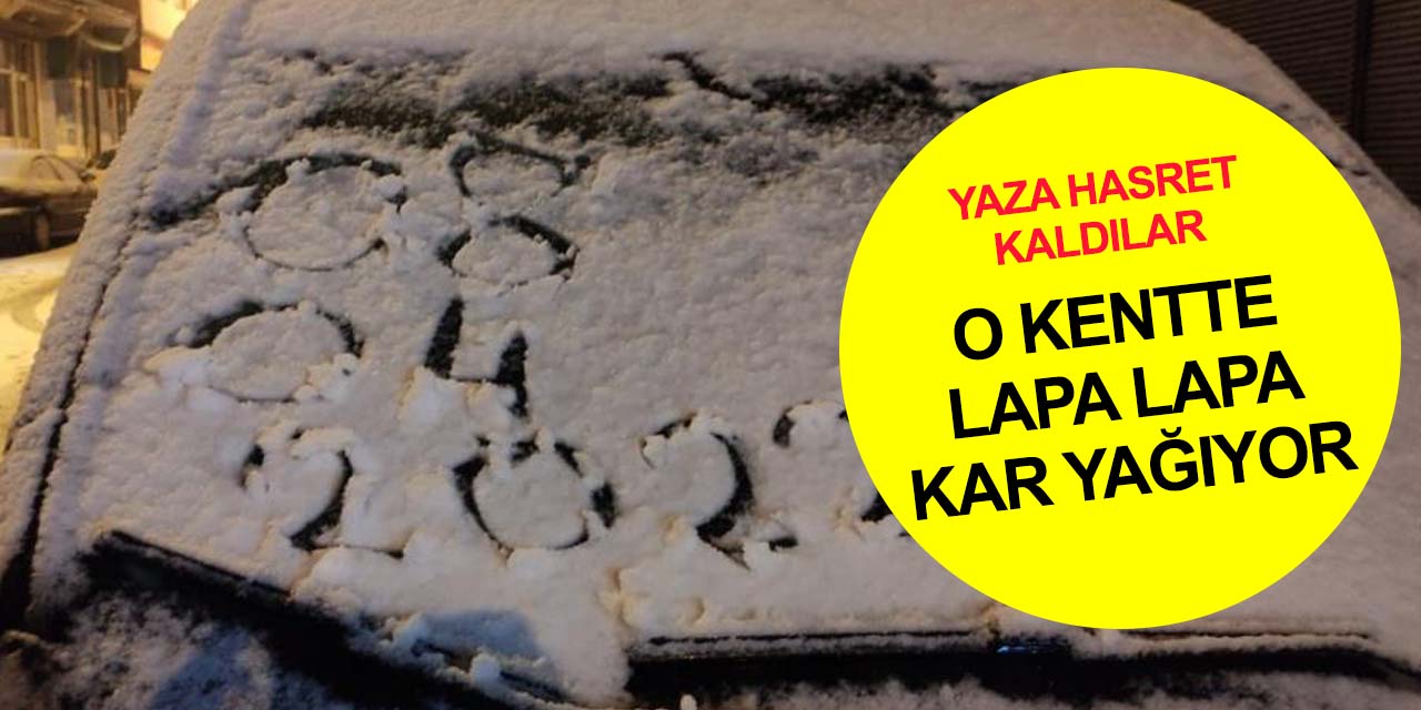 Doğalgazı hiç kapatmadılar! 9 Nisan'da lapa lapa kar yağdı